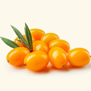 Himalayan Sea Buckthorn